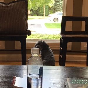 Meet your Posher, Gwen